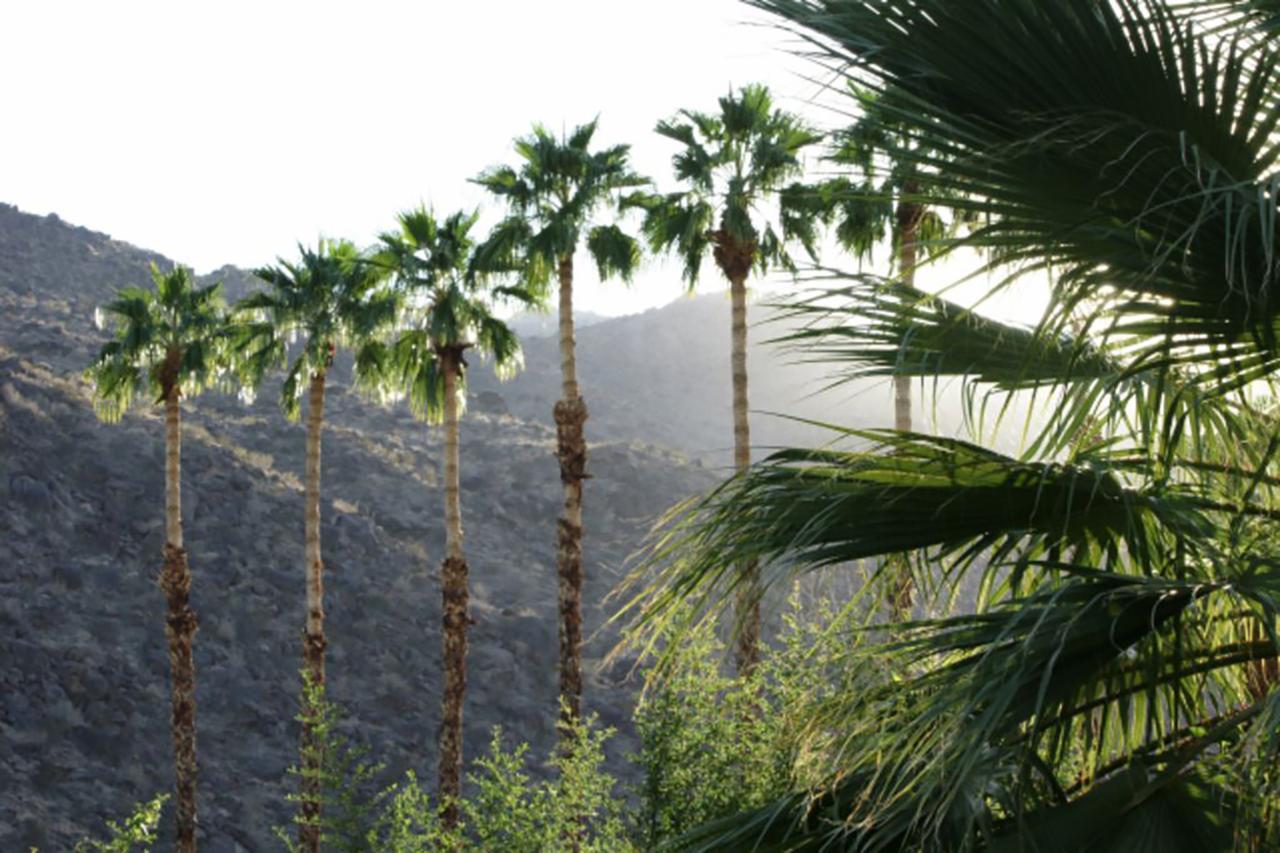 Villa Thornhill Palm Springs Buitenkant foto