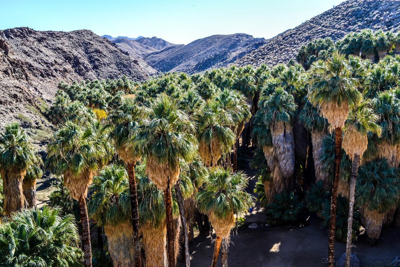 Villa Thornhill Palm Springs Buitenkant foto